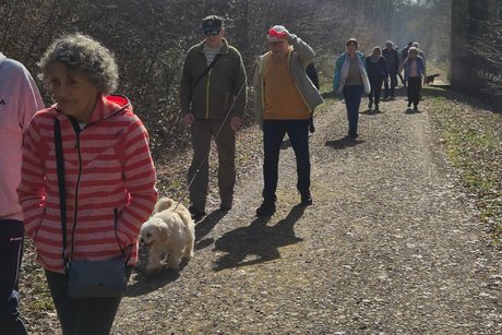 Wanderung 08.03.2026