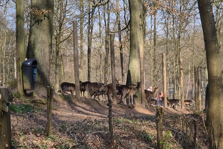 Wanderung 08.03.2026