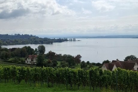Bodensee - Blick von der Basilika Birnau