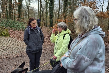 Wandergruppe VdK OV V&ouml;lklingen